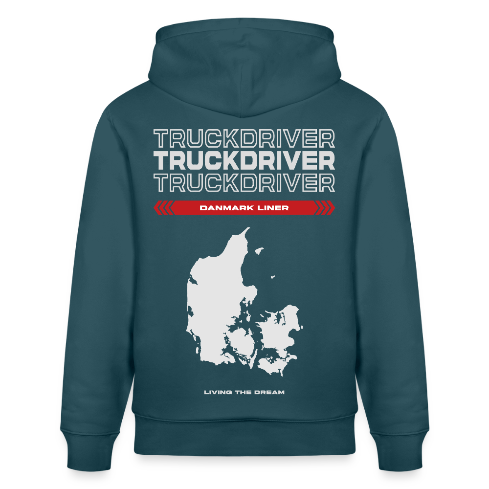 DANMARK Liner - Hoodie - stargazer