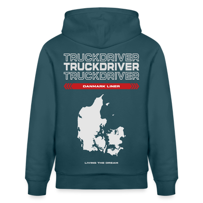 DANMARK Liner - Hoodie - stargazer