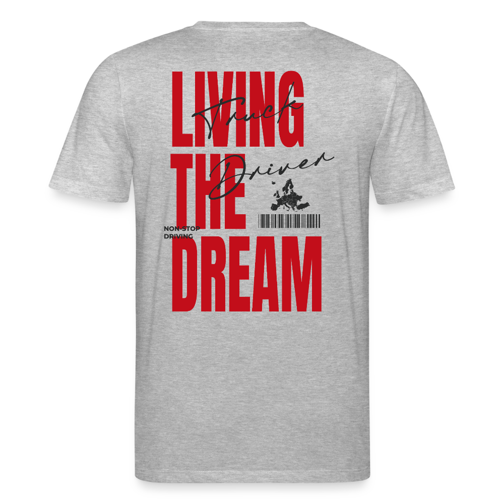 LIVING THE DREAM - T-shirt (more colors) - heather grey