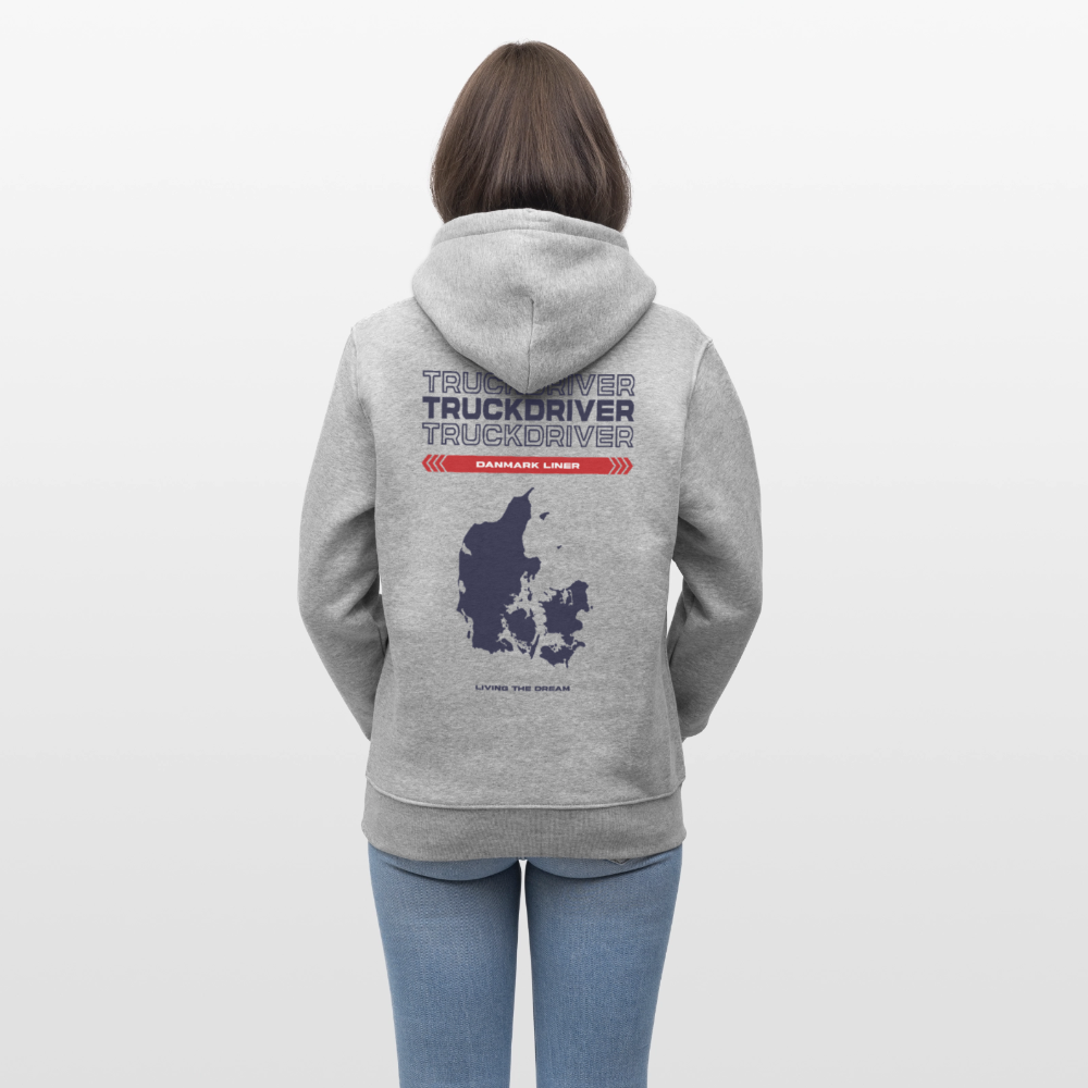 DANMARK Liner - Hoodie (more colors) - heather grey