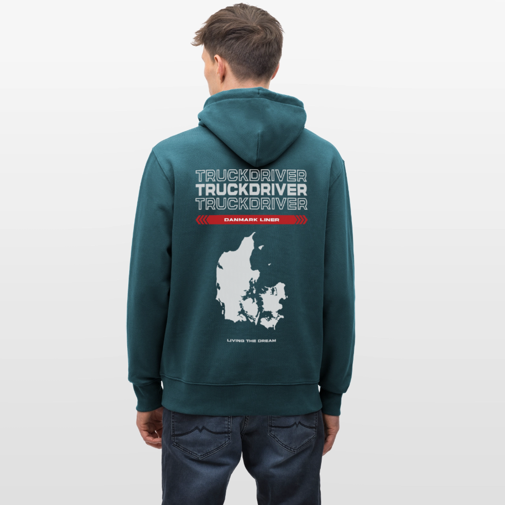 DANMARK Liner - Hoodie - stargazer