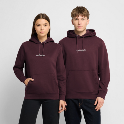 BEYOND FREJUS - Hoodie - maroon